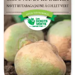 CHOU-NAVET Rutabaga a collet vert - FRAIS DE PORT OFFERT Graines potagères