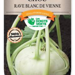 CHOU-RAVE blanc de Vienne - FRAIS DE PORT OFFERT Graines potagères