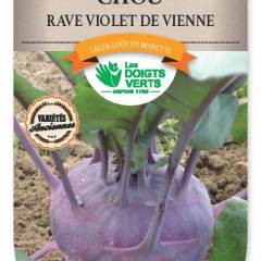 CHOU-RAVE violet de Vienne - FRAIS DE PORT OFFERT Graines potagères