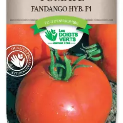 TOMATE Fandango hybride F1 - Graines potagères