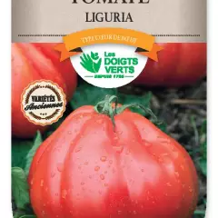 TOMATE Liguria - Graines potagères