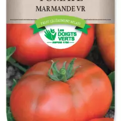 TOMATE de Marmande VR - FRAIS DE PORT OFFERT Graines potagères