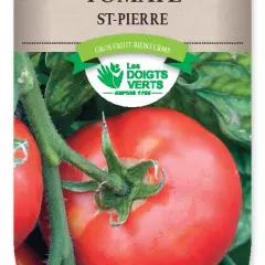 TOMATE Saint-Pierre - Graines potagères