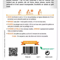 TOMATE Ananas - FRAIS DE PORT OFFERT Graines potagères