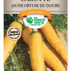 CAROTTE jaune obtuse Doubs - FRAIS DE PORT OFFERT