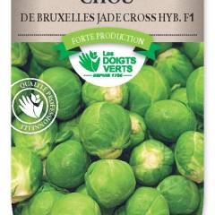 CHOU BRUXELLES Jade Cross Hyb.F1 - FRAIS DE PORT OFFERT Graines potagères