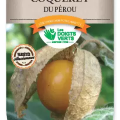 COQUERET DU PEROU Physalis - FRAIS DE PORT OFFERTGraines potagères