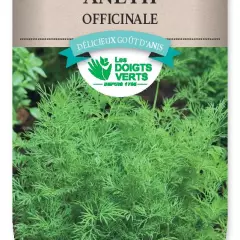 ANETH - Graines potagères, plantes aromatiques