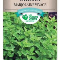 ORIGAN Marjolaine vivace - FRAIS DE PORT OFFERT Graines potagères, plantes aromatiques