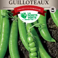 POIS RAME Serpette Guilloteau / 250g - Graines de Pois / 250 grammes