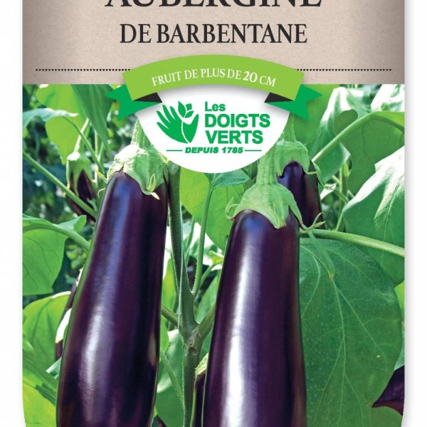 AUBERGINE de Barbentane - FRAIS DE PORT OFFERT Graines potagères