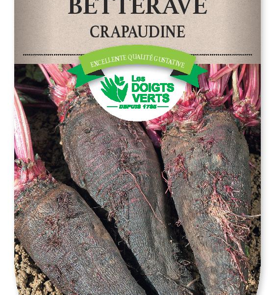 BETTERAVE Crapaudine - FRAIS DE PORT OFFERT Graines potagères
