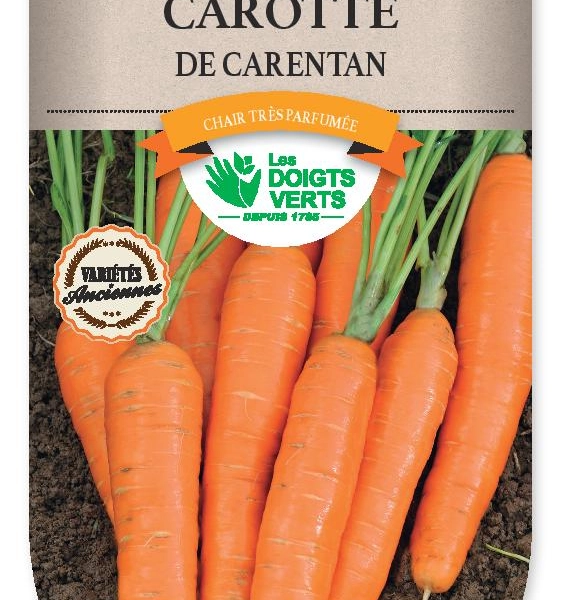 CAROTTE de Carentan - FRAIS DE PORT OFFERT Graines potagères