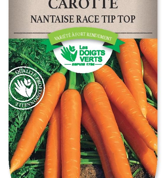 CAROTTE Nantaise amel.3 Tip Top - FRAIS DE PORT OFFERT Graines potagères