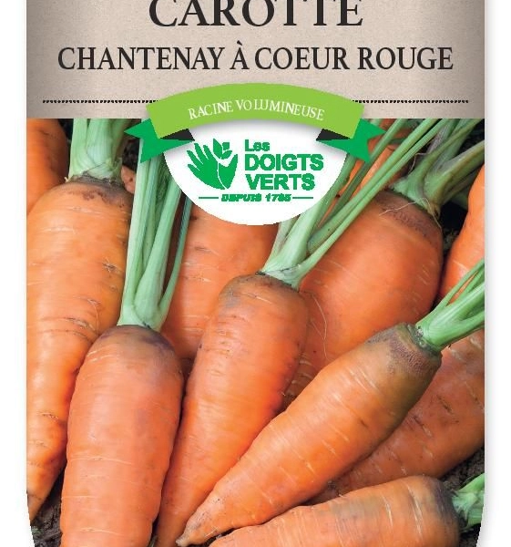 CAROTTE Chantenay a coeur rouge 2 - FRAIS DE PORT OFFERT Graines potagères
