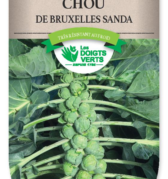 CHOU BRUXELLES Sanda - FRAIS DE PORT OFFERT Graines potagères