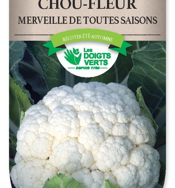 CHOU-FLEUR merveille toutes saisons - FRAIS DE PORT OFFERT Graines potagères