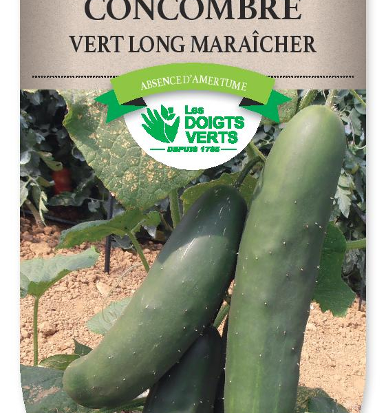 CONCOMBRE vert long Maraicher - FRAIS DE PORT OFFERT Graines potagères