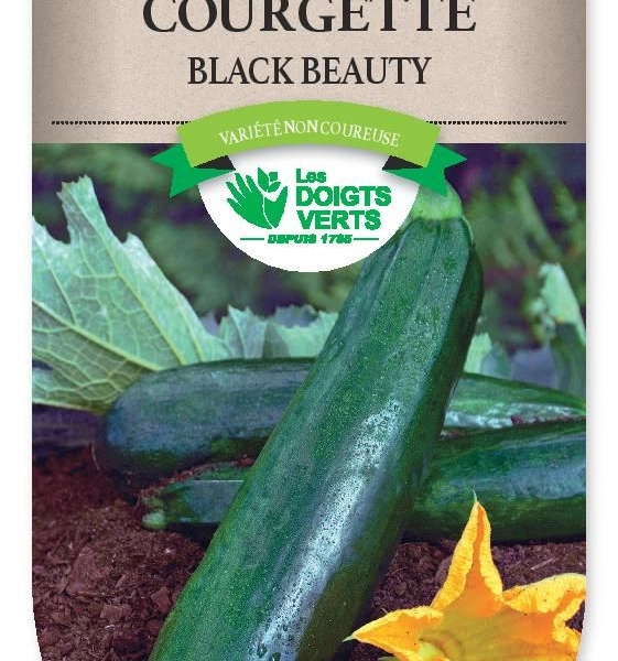 COURGETTE Black Beauty - FRAIS DE PORT OFFERT Graines potagères