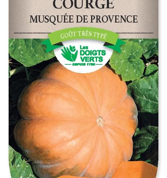 COURGE Musquee de Provence - FRAIS DE PORT OFFERT Graines potagères