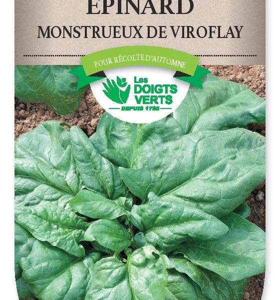 EPINARD monstrueux de Viroflay - FRAIS DE PORT OFFERTGraines potagères
