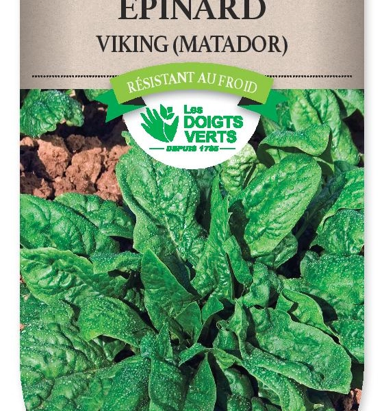 EPINARD Viking Matador - FRAIS DE PORT OFFERTGraines potagères
