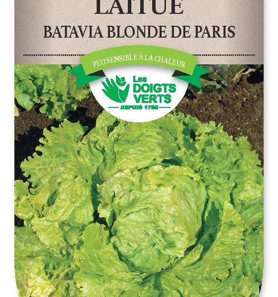 LAITUE BATAVIA blonde de Paris - FRAIS DE PORT OFFERTGraines potagères