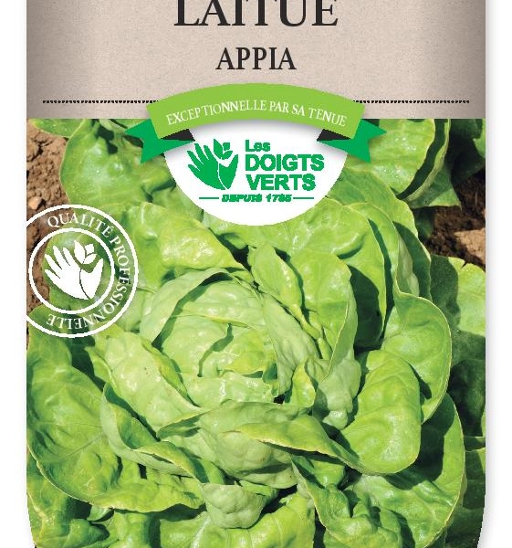 LAITUE Appia - FRAIS DE PORT OFFERT Graines potagères