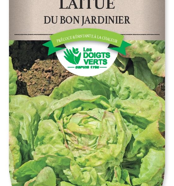 LAITUE du bon jardinier - FRAIS DE PORT OFFERT Graines potagères