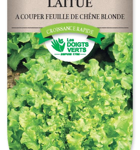 LAITUE a couper feuille de chene - FRAIS DE PORT OFFERT Graines potagères