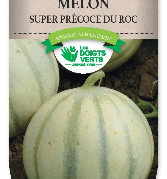MELON super precoce du Roc - FRAIS DE PORT OFFERT Graines potagères