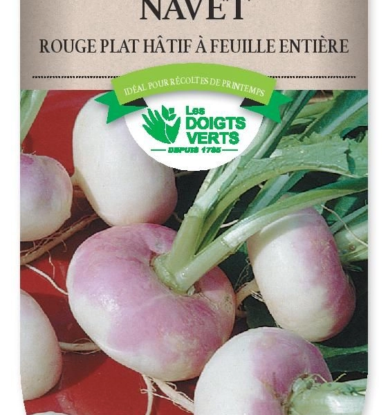 NAVET rouge plat hâtif feuille entière - FRAIS DE PORT OFFERT Graines potagères