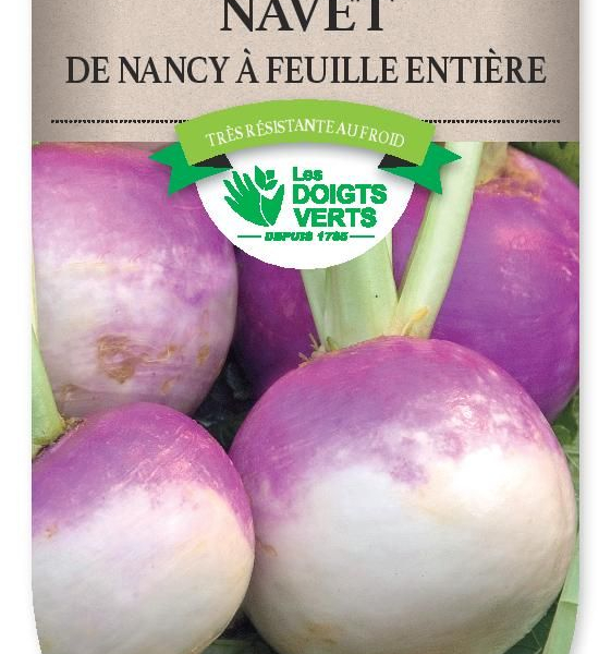 NAVET de Nancy feuille entiere - FRAIS DE PORT OFFERT Graines potagères