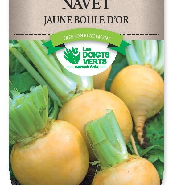 NAVET jaune boule d'or - FRAIS DE PORT OFFERTGraines potagères