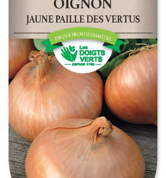 OIGNON Jaune Paille des Vertus - Graines potagères