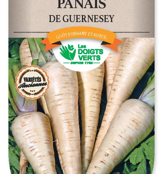 PANAIS demi-long de Guernesey - FRAIS DE PORT OFFERT Graines potagères