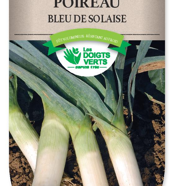 POIREAU bleu de Solaise - FRAIS DE PORT OFFERT Graines potagères