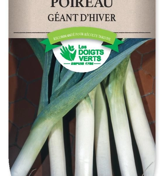 POIREAU Géant d'Hiver - FRAIS DE PORT OFFERT Graines potagères