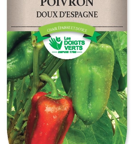 POIVRON doux d'Espagne - FRAIS DE PORT OFFERT Graines potagères