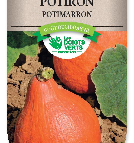 POTIRON Potimarron - FRAIS DE PORT OFFERT Graines potagères