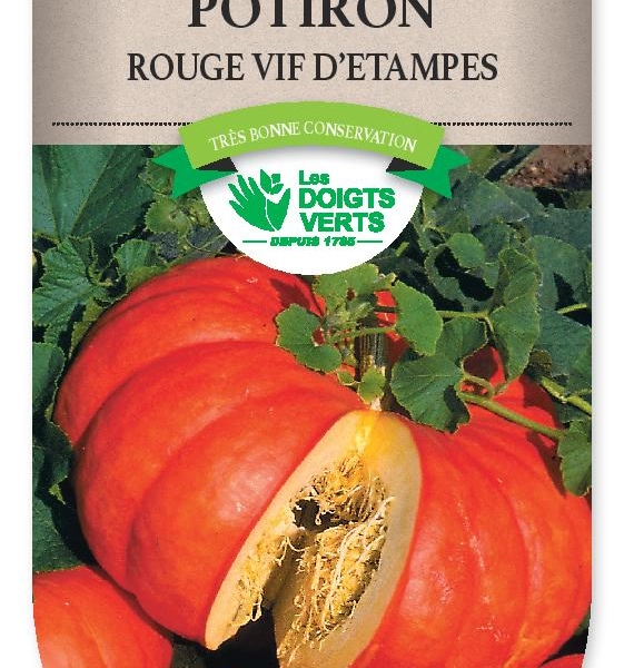 POTIRON Rouge vif d'Etampes - FRAIS DE PORT OFFERT Graines potagères