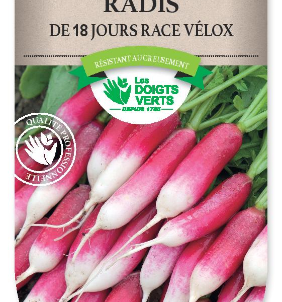 RADIS de 18 Jours race Velox - FRAIS DE PORT OFFERT Graines potagères