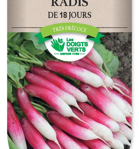 RADIS de 18 jours - FRAIS DE PORT OFFERT Graines potagères