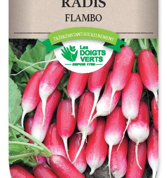 RADIS Flambo - FRAIS DE PORT OFFERT Graines potagères