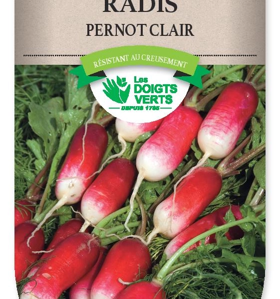 RADIS Pernot clair - FRAIS DE PORT OFFERT Graines potagères