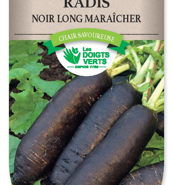 RADIS noir long Maraicher - FRAIS DE PORT OFFERT Graines potagères