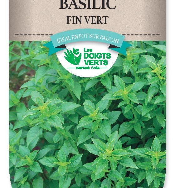 BASILIC Fin vert - FRAIS DE PORT OFFERT Graines potagères