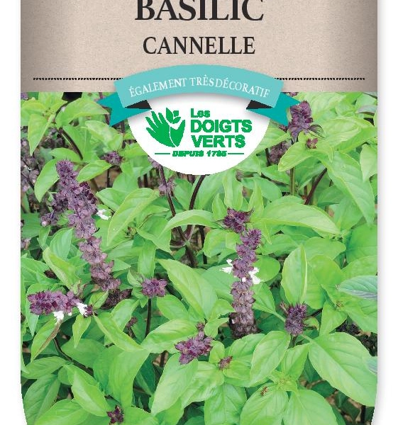BASILIC Cannelle - FRAIS DE PORT OFFERT Graines potagères
