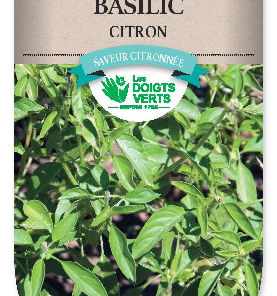 BASILIC Citron - FRAIS DE PORT OFFERT Graines potagères