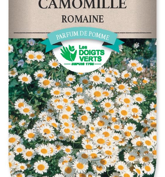 CAMOMILLE Romaine - FRAIS DE PORT OFFERT Graines potagères